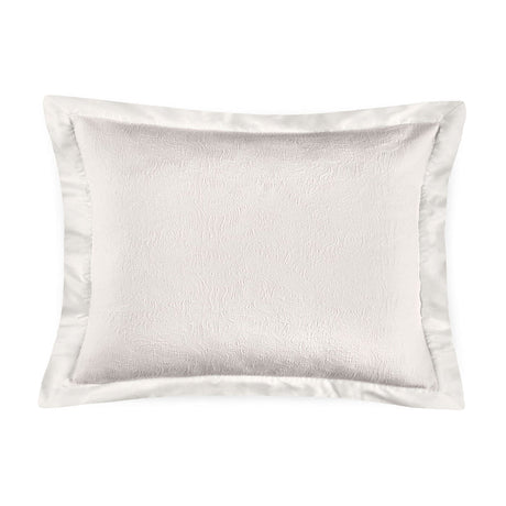 Aura Euro sham with cotton matelassé and sateen border
